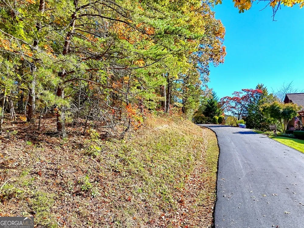 #20 Victoria Woods CIR Hiawassee, GA 30546