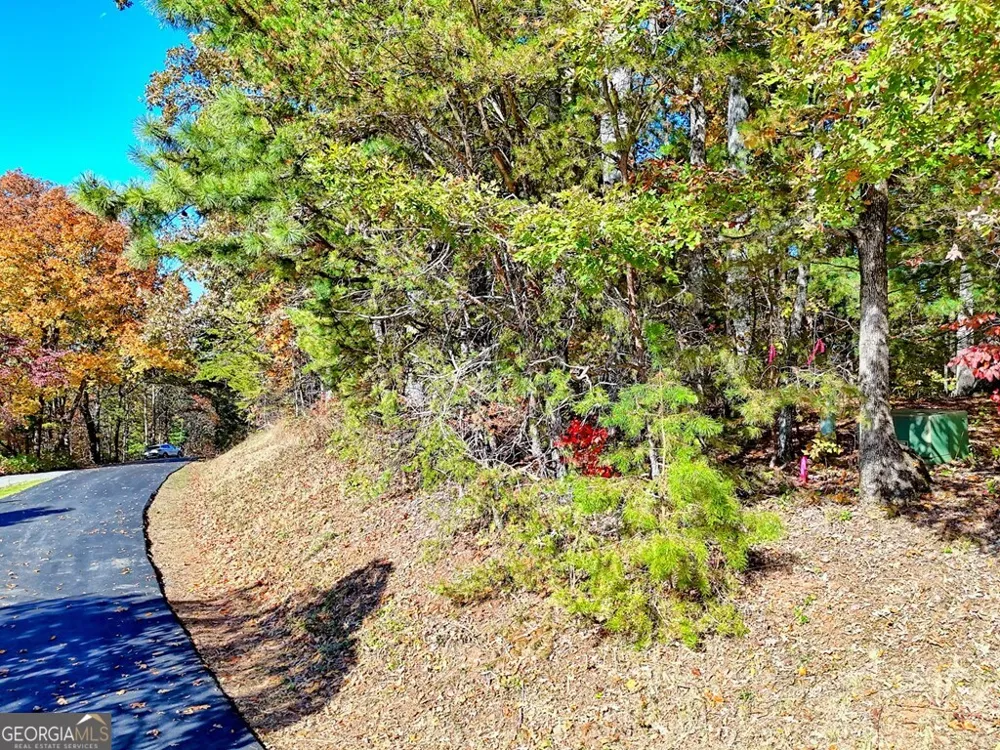 #20 Victoria Woods CIR Hiawassee, GA 30546