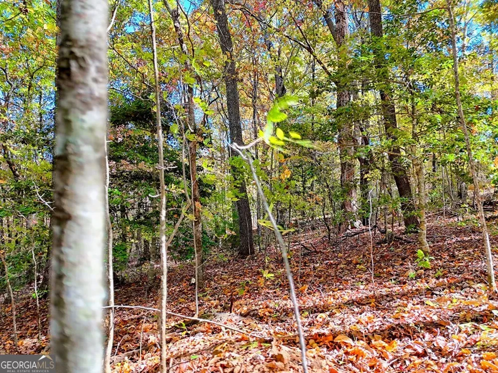 #20 Victoria Woods CIR Hiawassee, GA 30546
