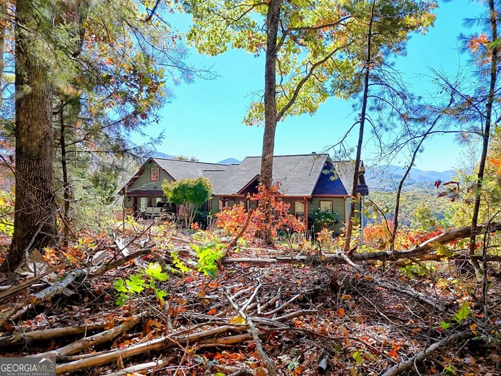#20 Victoria Woods CIR Hiawassee, GA 30546