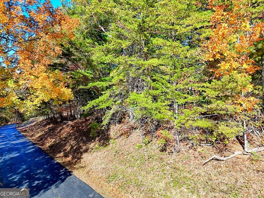 #20 Victoria Woods CIR Hiawassee, GA 30546
