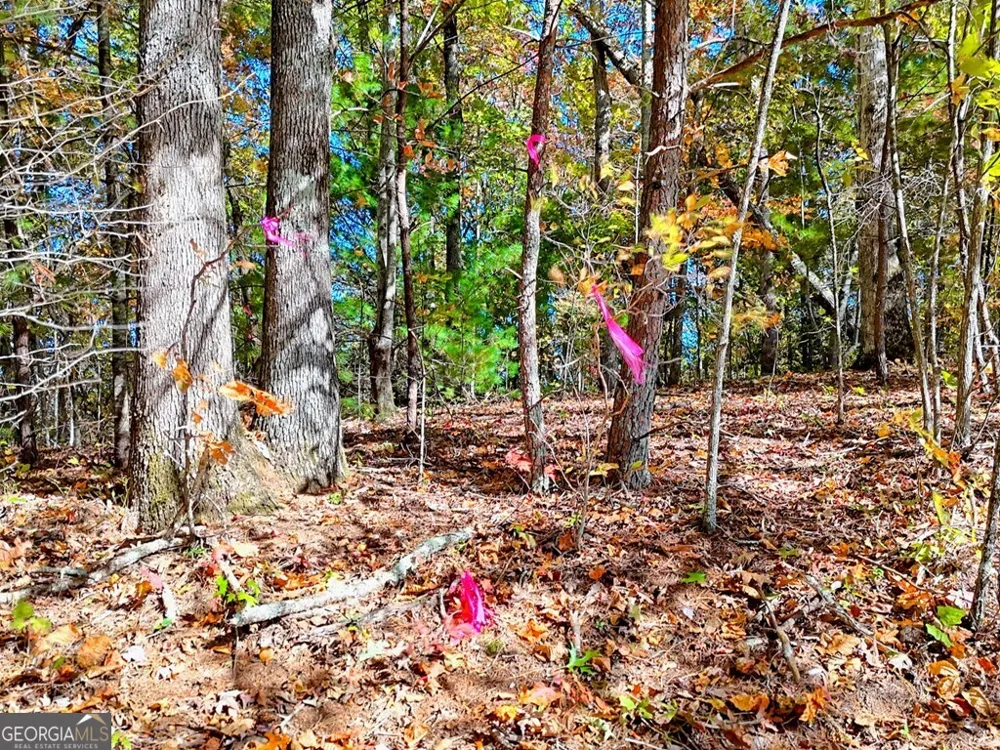 #20 Victoria Woods CIR Hiawassee, GA 30546