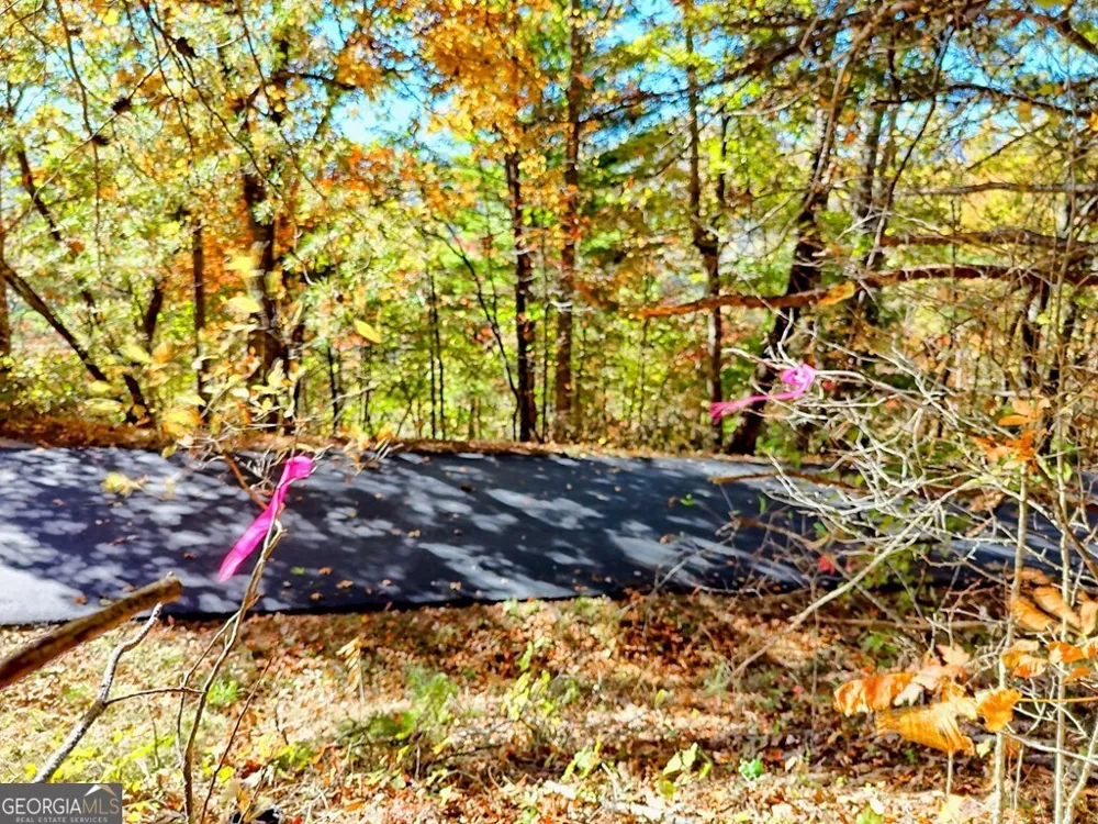 #20 Victoria Woods CIR Hiawassee, GA 30546