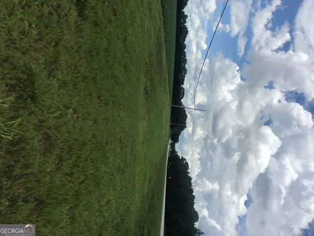 0 Us Highway 301 Claxton, GA 30417