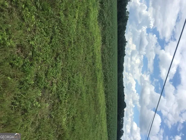 0 Us Highway 301 Claxton, GA 30417