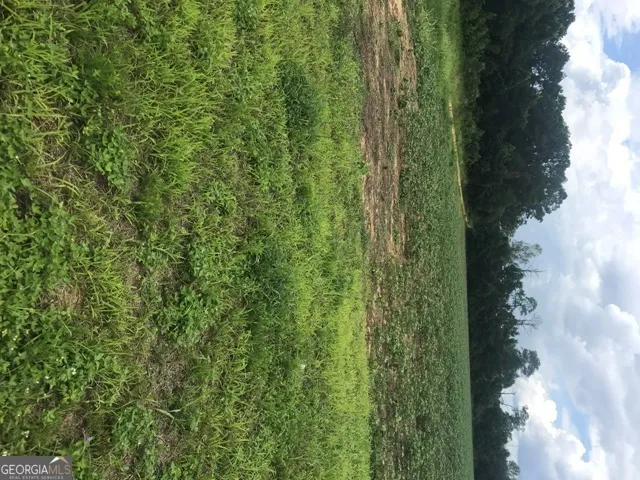 0 Us Highway 301 Claxton, GA 30417