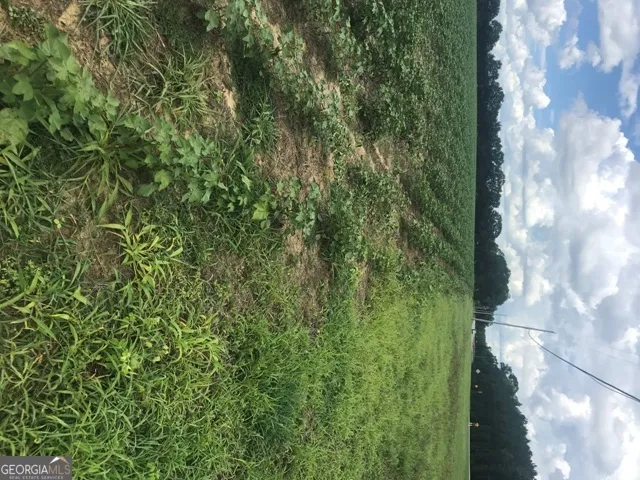 0 Us Highway 301 Claxton, GA 30417