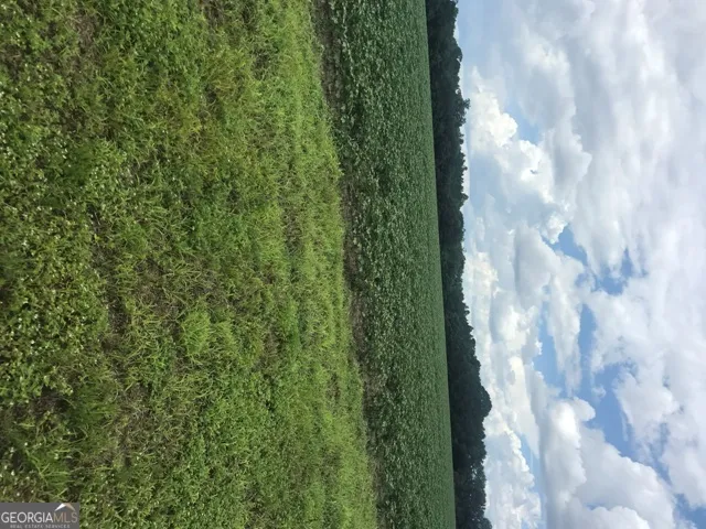 0 Us Highway 301 Claxton, GA 30417