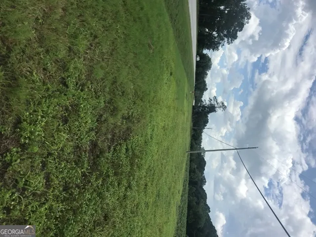 0 Us Highway 301 Claxton, GA 30417