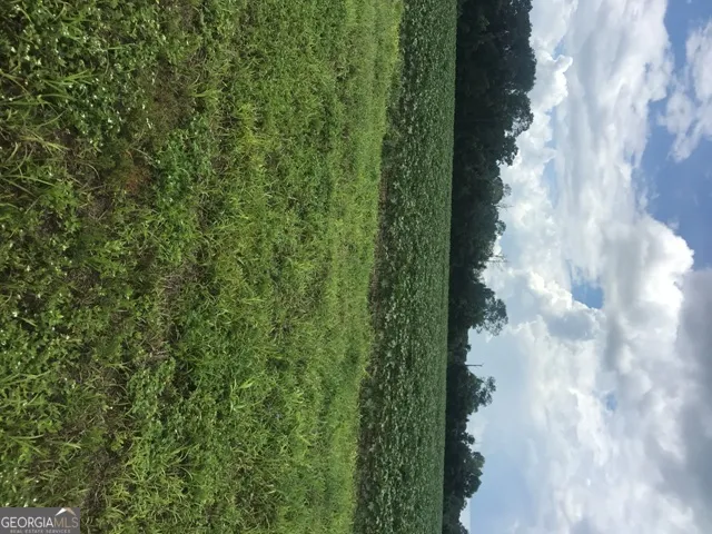 0 Us Highway 301 Claxton, GA 30417