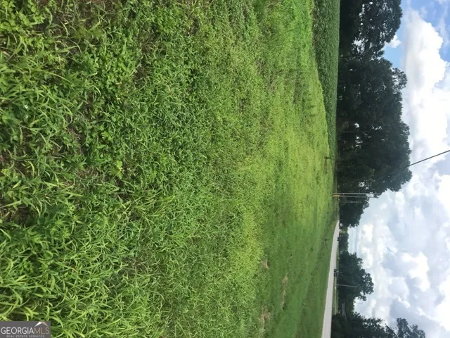 0 Us Highway 301 Claxton, GA 30417