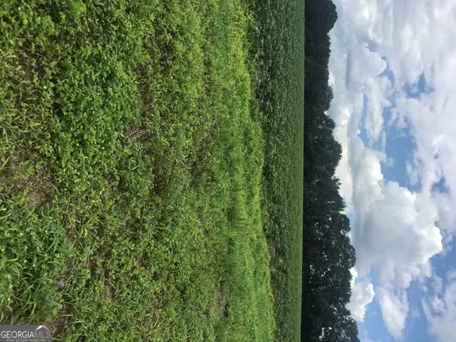 0 Us Highway 301 Claxton, GA 30417