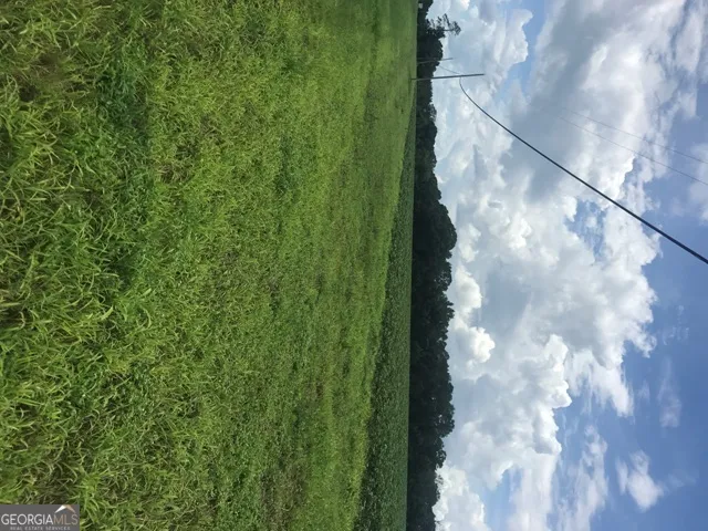 0 Us Highway 301 Claxton, GA 30417