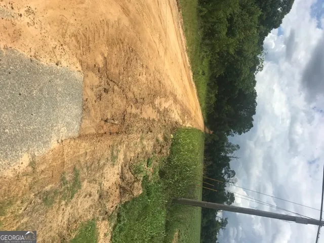 0 Us Highway 301 Claxton, GA 30417