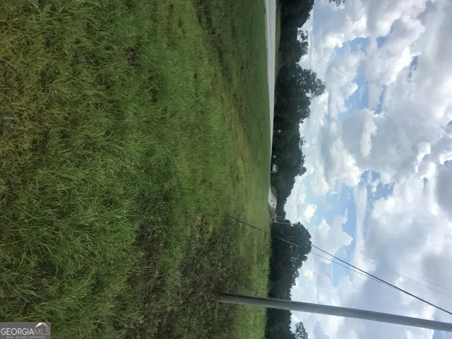 0 Us Highway 301 Claxton, GA 30417