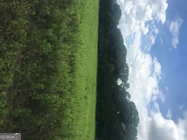 0 Us Highway 301 Claxton, GA 30417