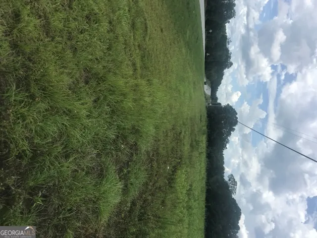 0 Us Highway 301 Claxton, GA 30417