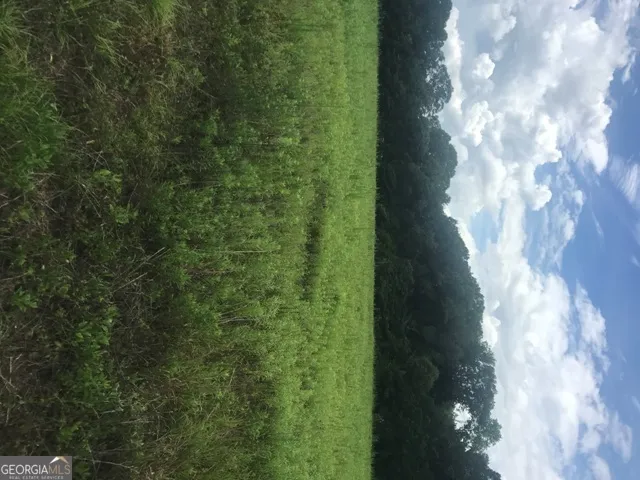 0 Us Highway 301 Claxton, GA 30417