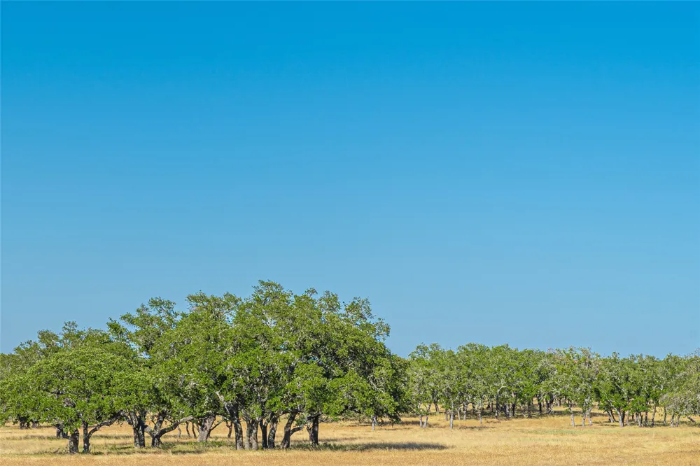 674 US-83 Highway Mountain Home, TX 78058