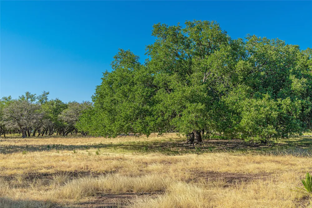 674 US-83 Highway Mountain Home, TX 78058