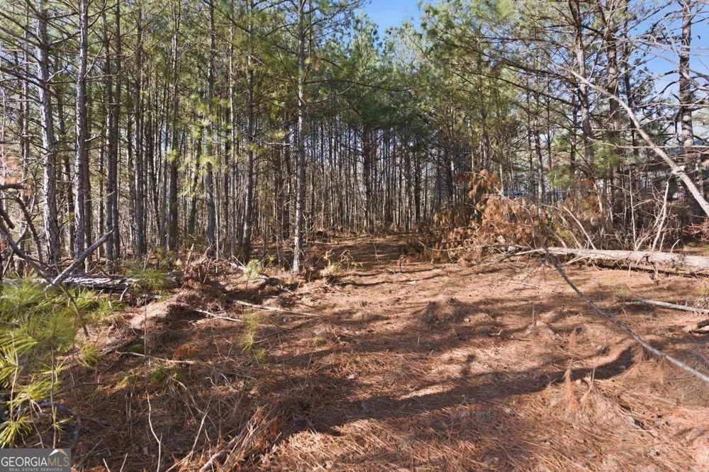 112 Redding DR Bremen, GA 30110