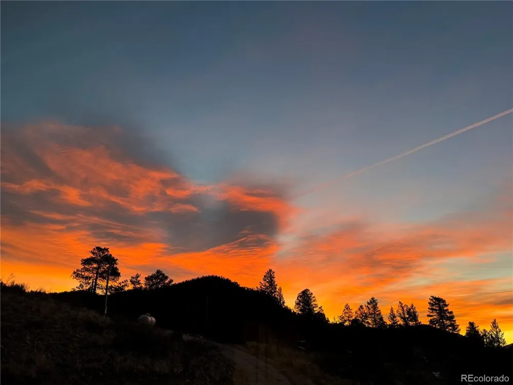 381 Saddle Lane Bailey, CO 80421