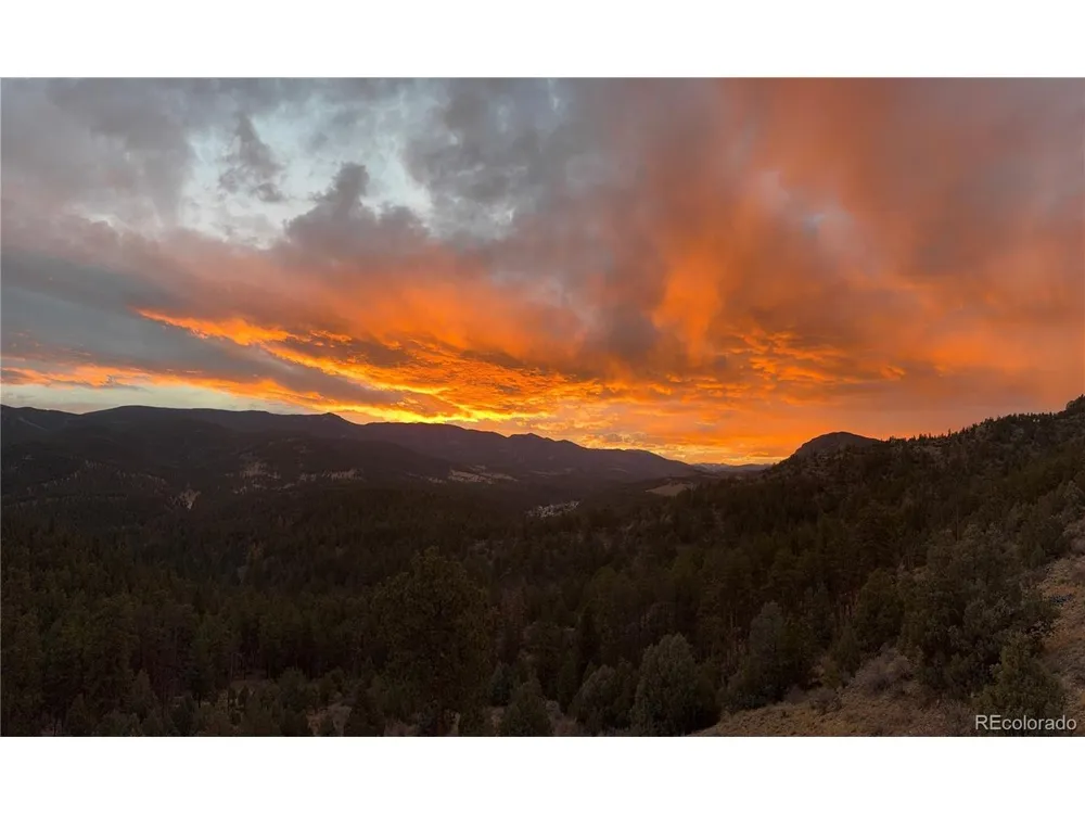 381 Saddle Lane Bailey, CO 80421