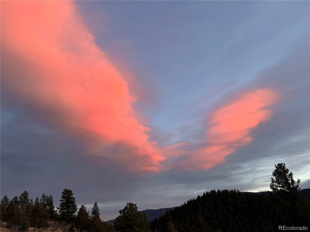381 Saddle Lane Bailey, CO 80421