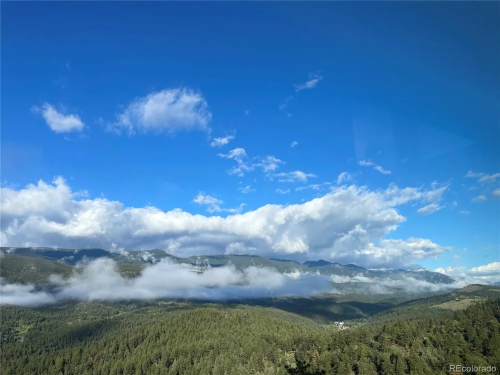 381 Saddle Lane Bailey, CO 80421