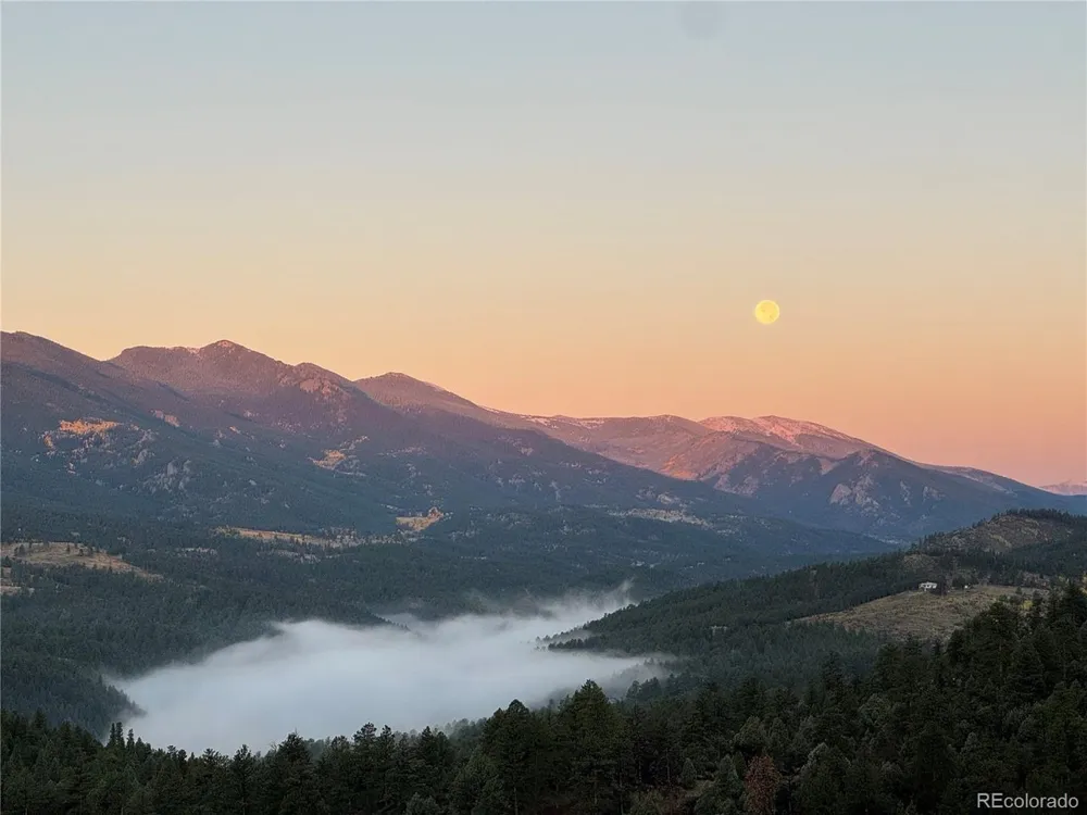 381 Saddle Lane Bailey, CO 80421