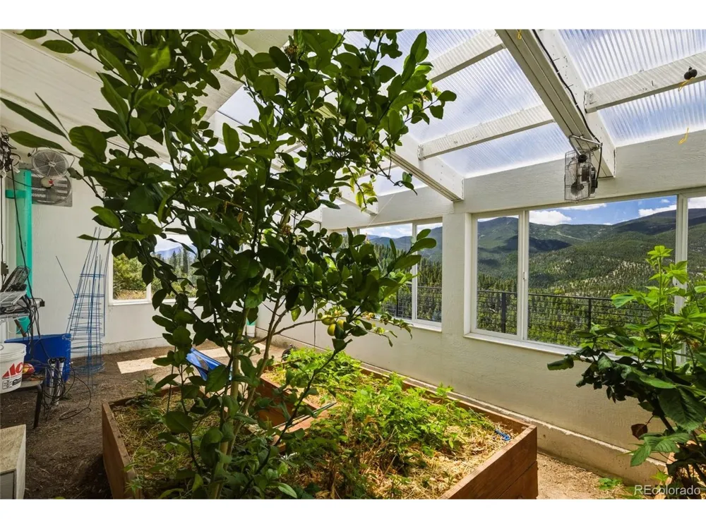 381 Saddle Lane Bailey, CO 80421