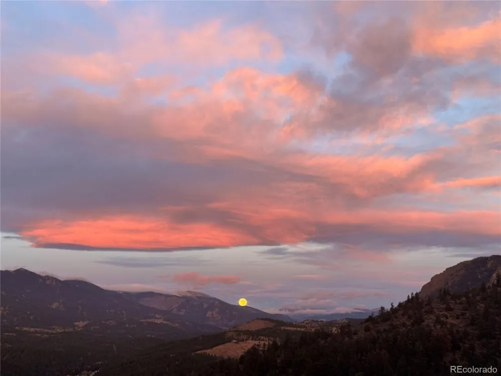 381 Saddle Lane Bailey, CO 80421
