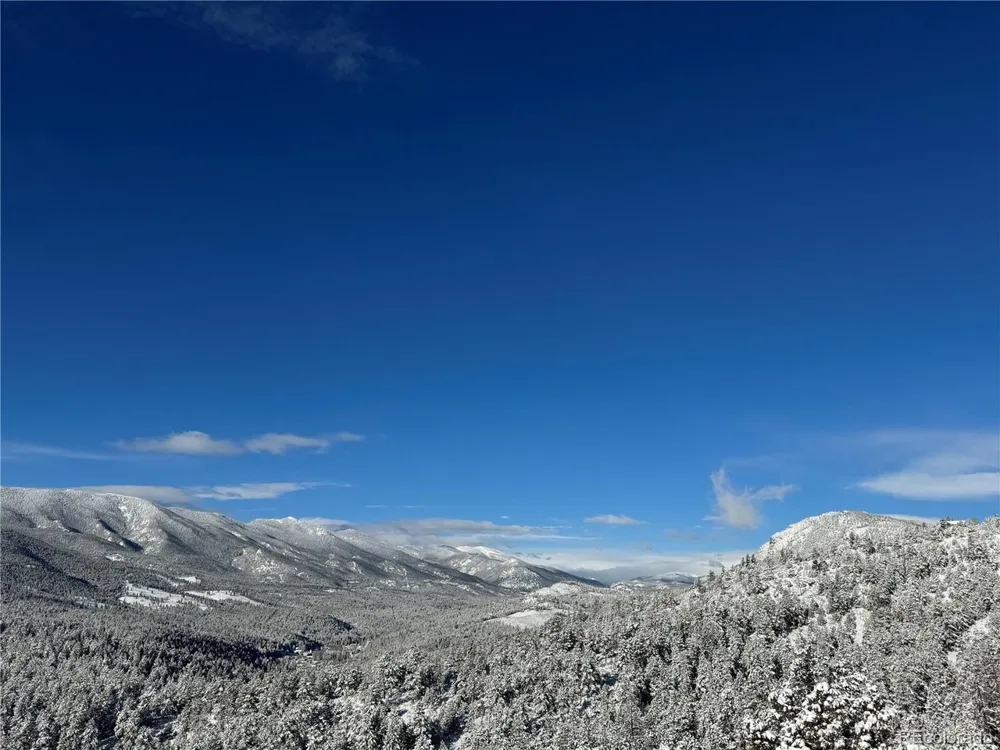 381 Saddle Lane Bailey, CO 80421