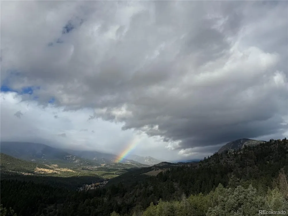 381 Saddle Lane Bailey, CO 80421