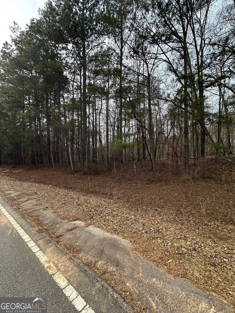 0 Tussahaw Point DR Jackson, GA 30233