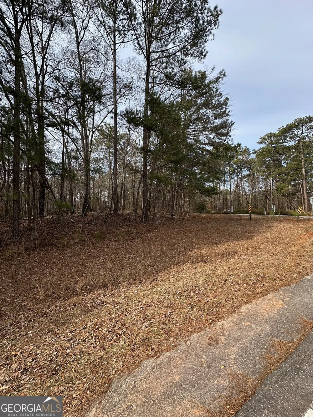 0 Tussahaw Point DR Jackson, GA 30233