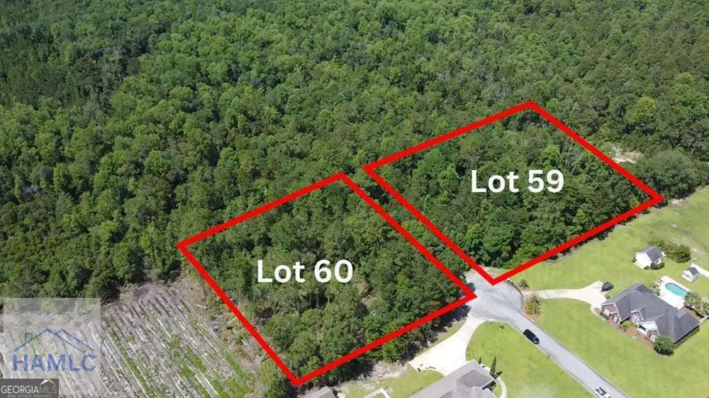 112 Vixenhill DR Jesup, GA 31546