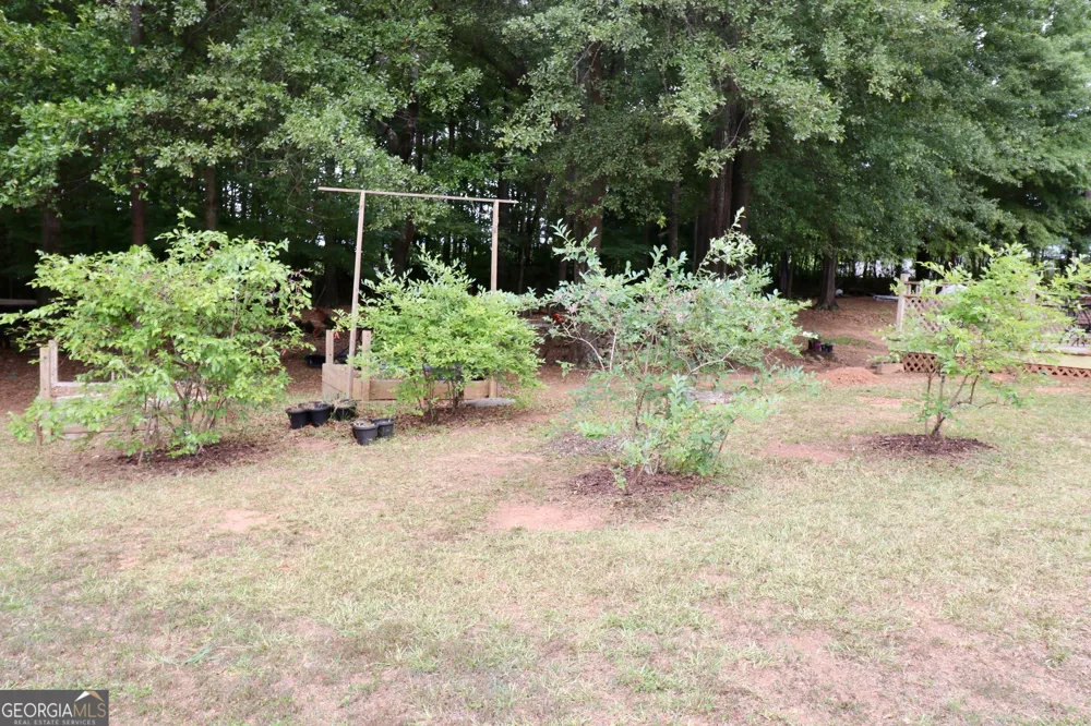 190 Roundtree WAY Williamson, GA 30292