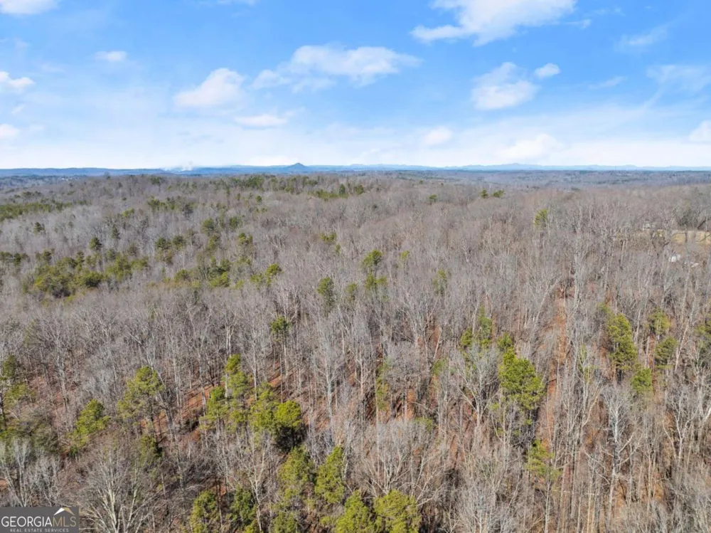 5419 Highway 320 Carnesville, GA 30521