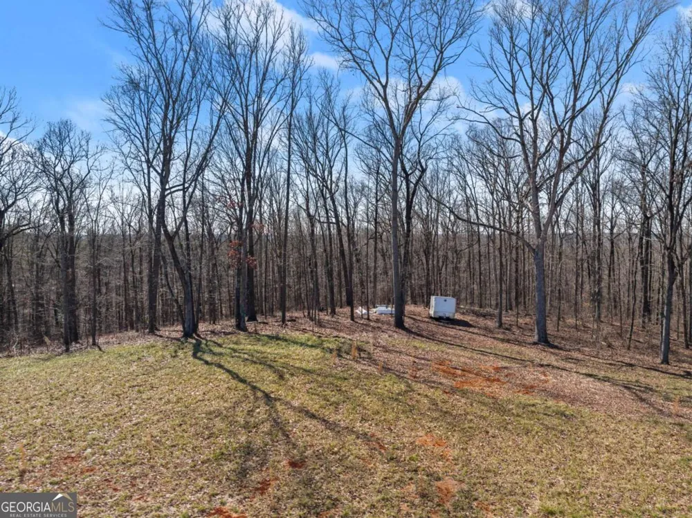 5419 Highway 320 Carnesville, GA 30521