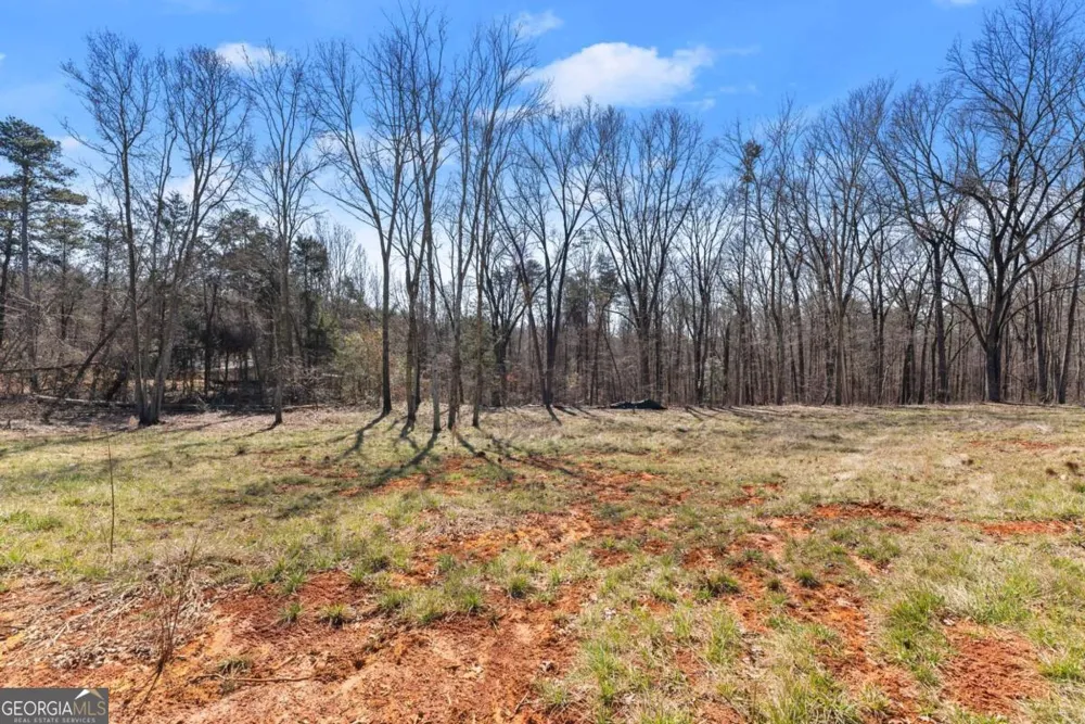 5419 Highway 320 Carnesville, GA 30521
