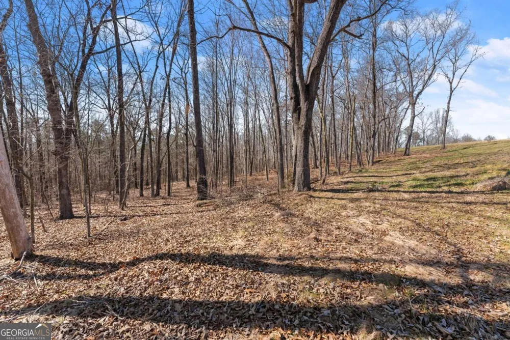 5419 Highway 320 Carnesville, GA 30521