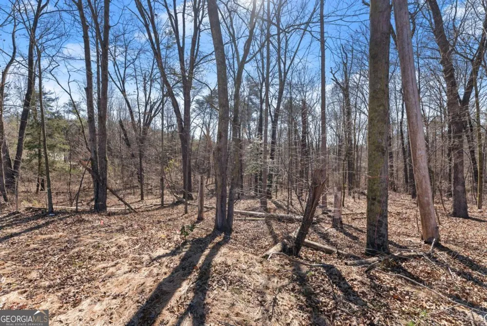 5419 Highway 320 Carnesville, GA 30521