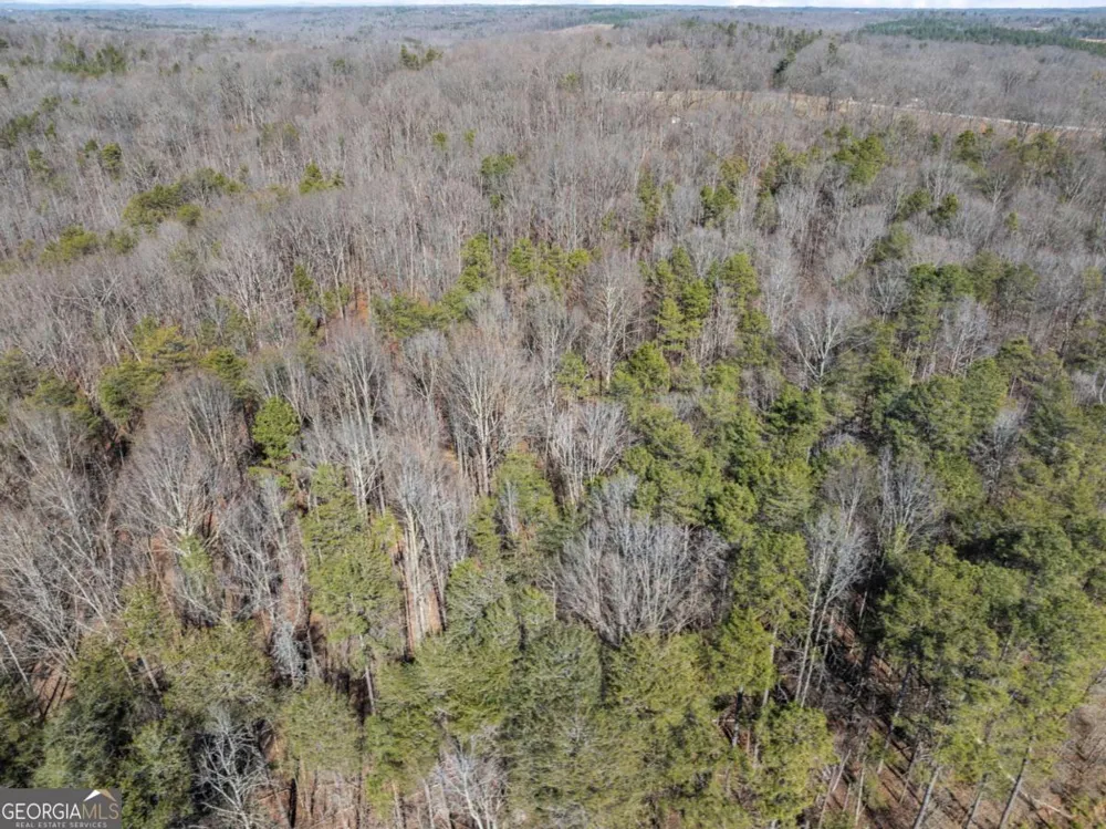 5419 Highway 320 Carnesville, GA 30521
