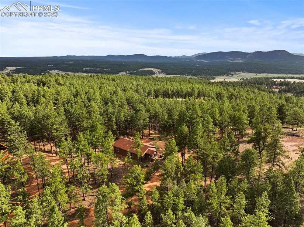 1110 Pikes Peak Drive Florissant, CO 80816