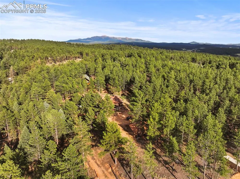 1110 Pikes Peak Drive Florissant, CO 80816