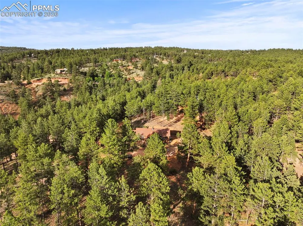 1110 Pikes Peak Drive Florissant, CO 80816