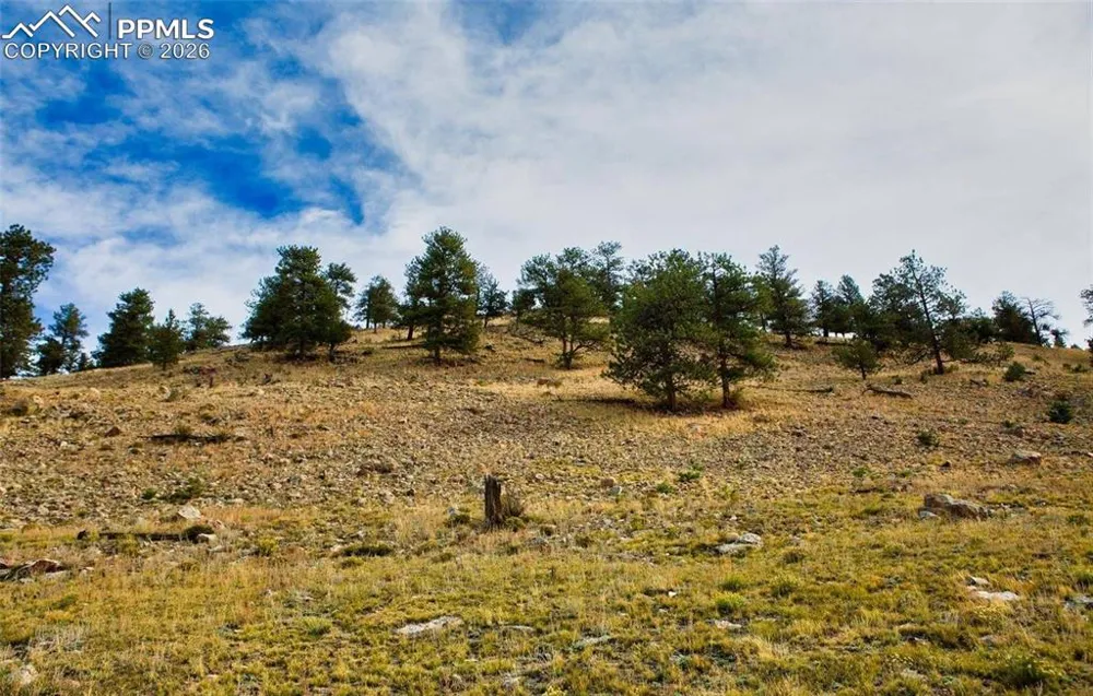 1888 Lakeview Drive Lake George, CO 80827