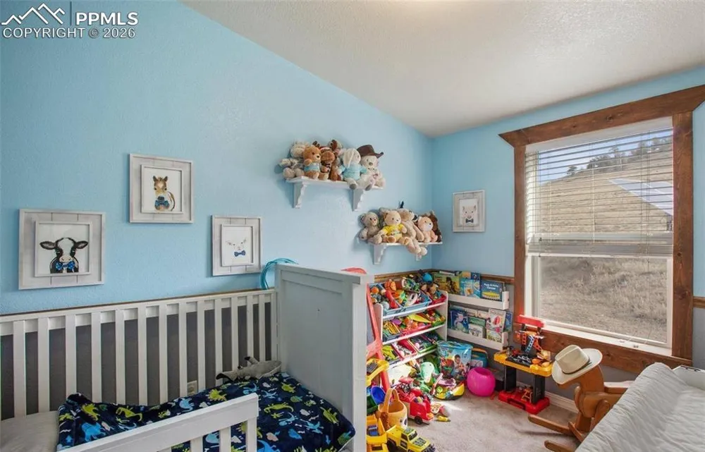 1888 Lakeview Drive Lake George, CO 80827