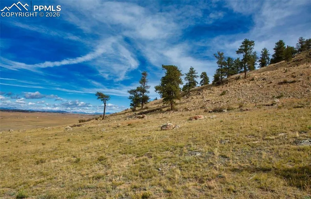 1888 Lakeview Drive Lake George, CO 80827